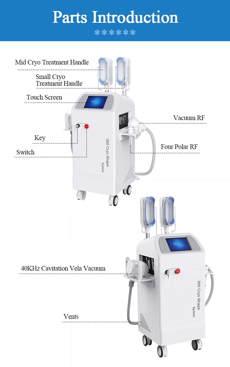 Top Trending Products Multifunction 360 Surrounding Cooling Cryolipolysis Cavitation RF Fat Removal Freezing System